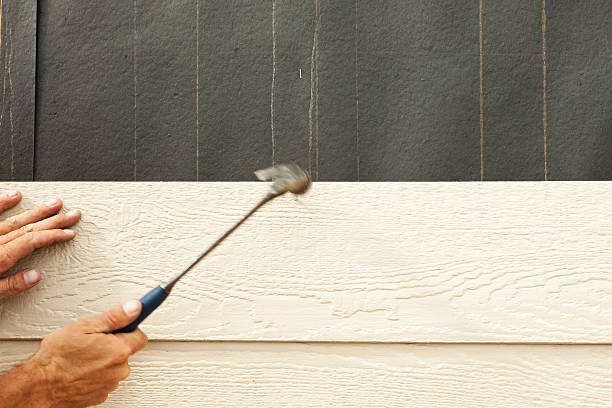 Best Custom Trim and Detailing for Siding  in Pleasant Grove, UT
